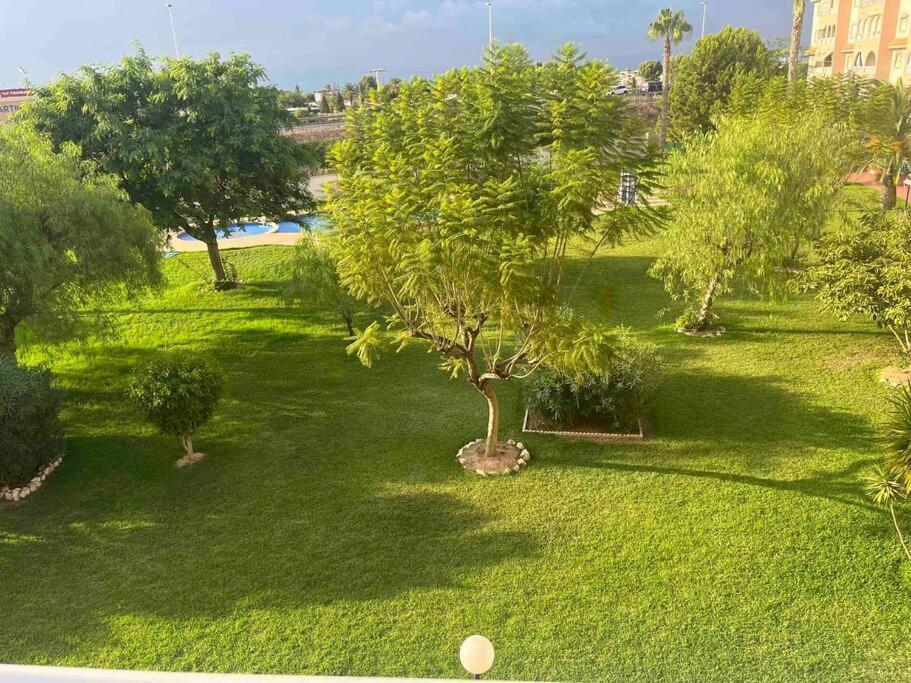 Casa Di Mateo With Garden View And Swimming Pool Διαμέρισμα Τορεβιέχα Εξωτερικό φωτογραφία