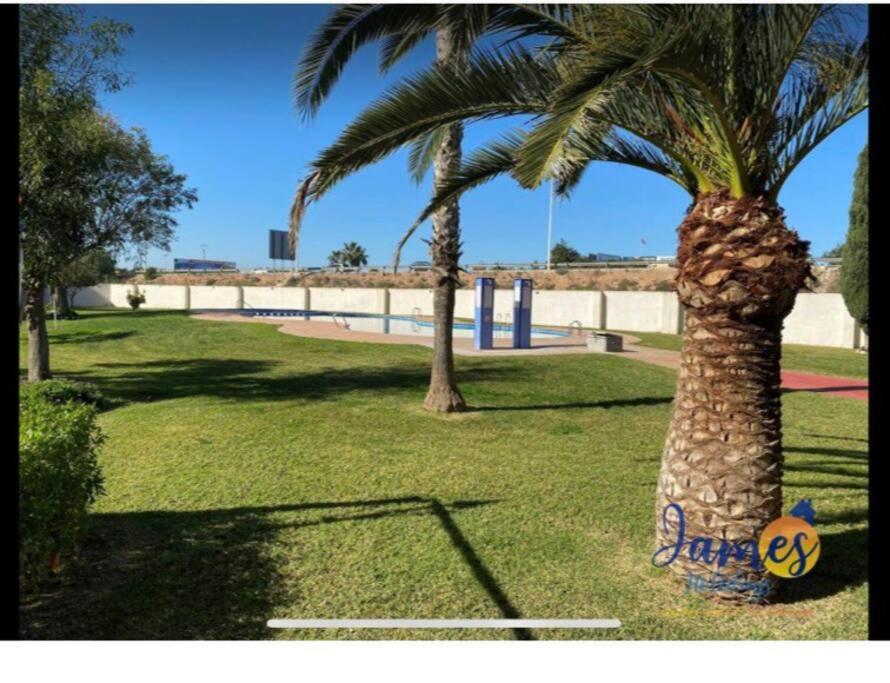 Casa Di Mateo With Garden View And Swimming Pool Διαμέρισμα Τορεβιέχα Εξωτερικό φωτογραφία