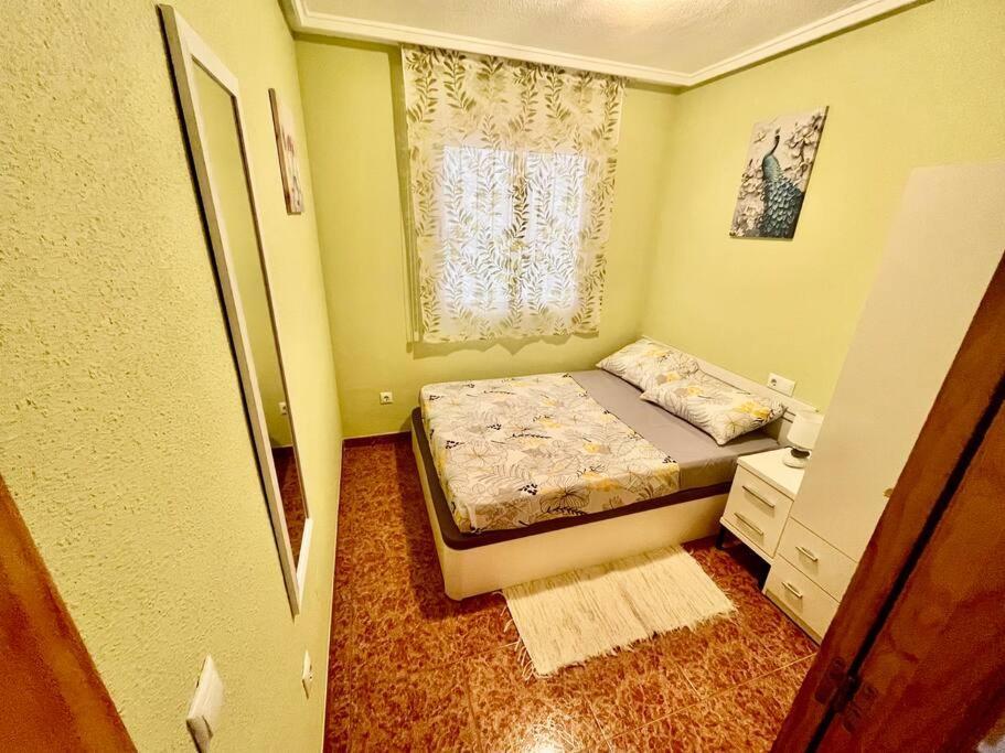 Casa Di Mateo With Garden View And Swimming Pool Διαμέρισμα Τορεβιέχα Εξωτερικό φωτογραφία